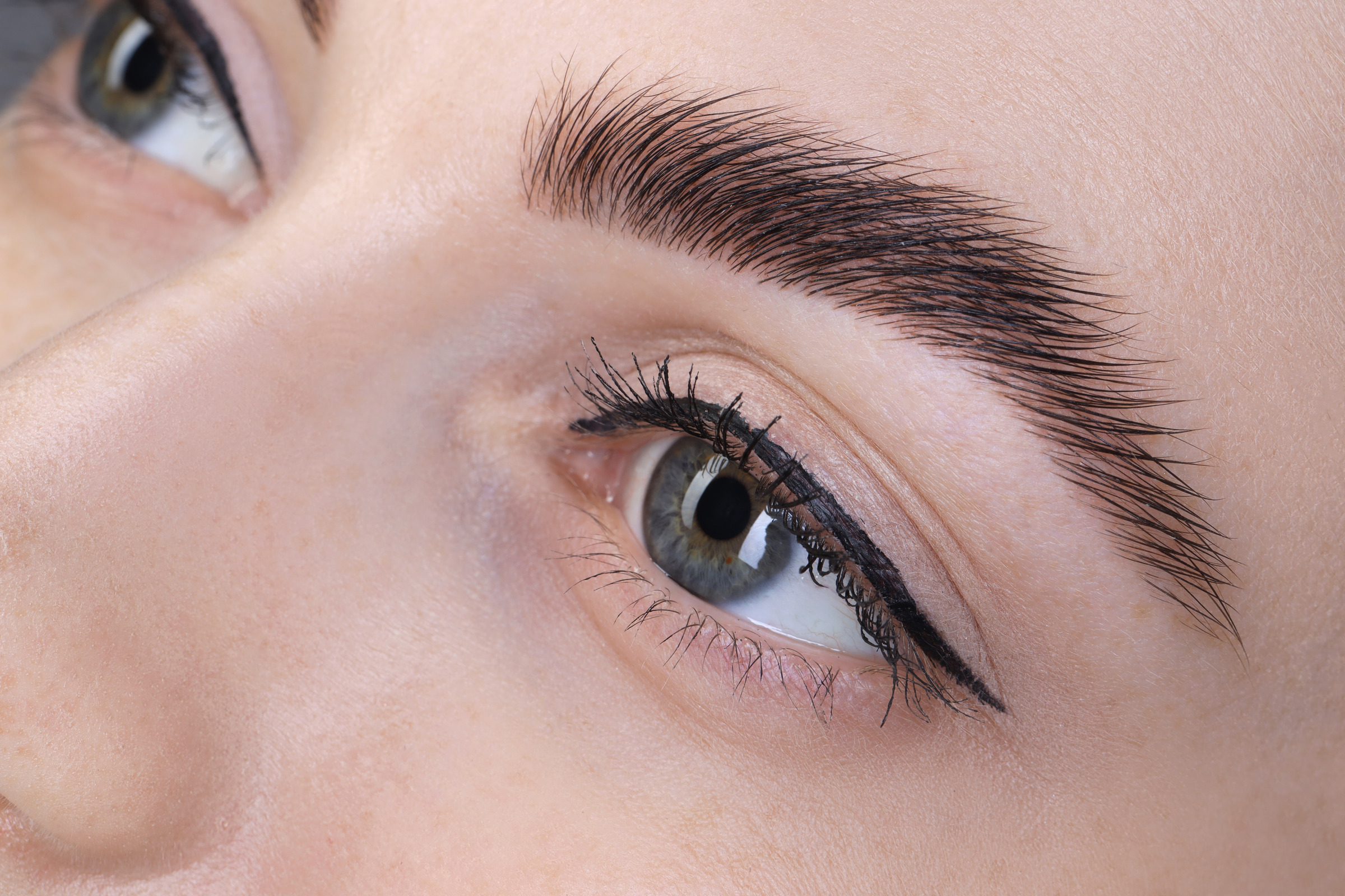 Finished brow lamination result, brushed and set