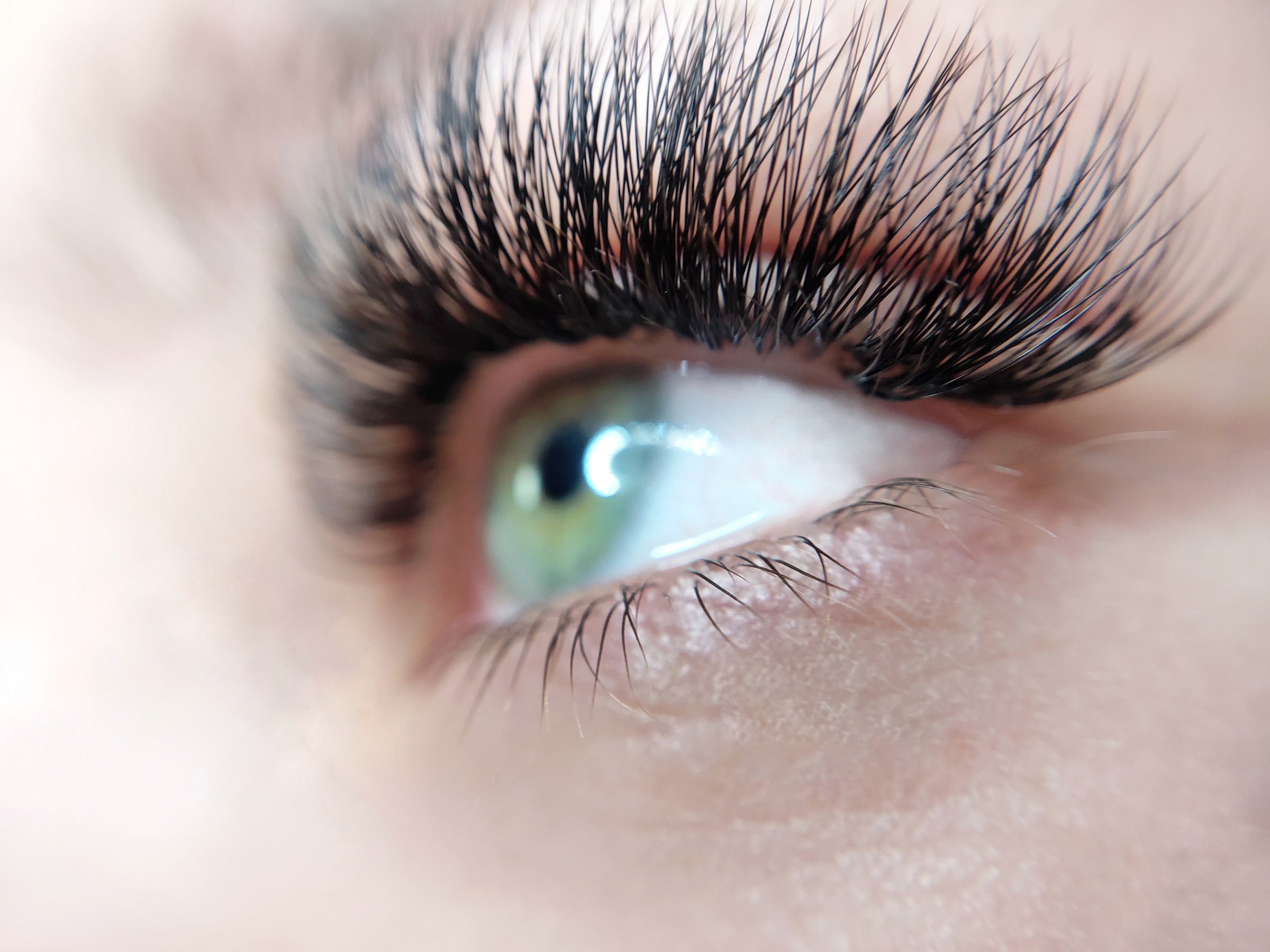 Full lash extensions close-up on green eyes