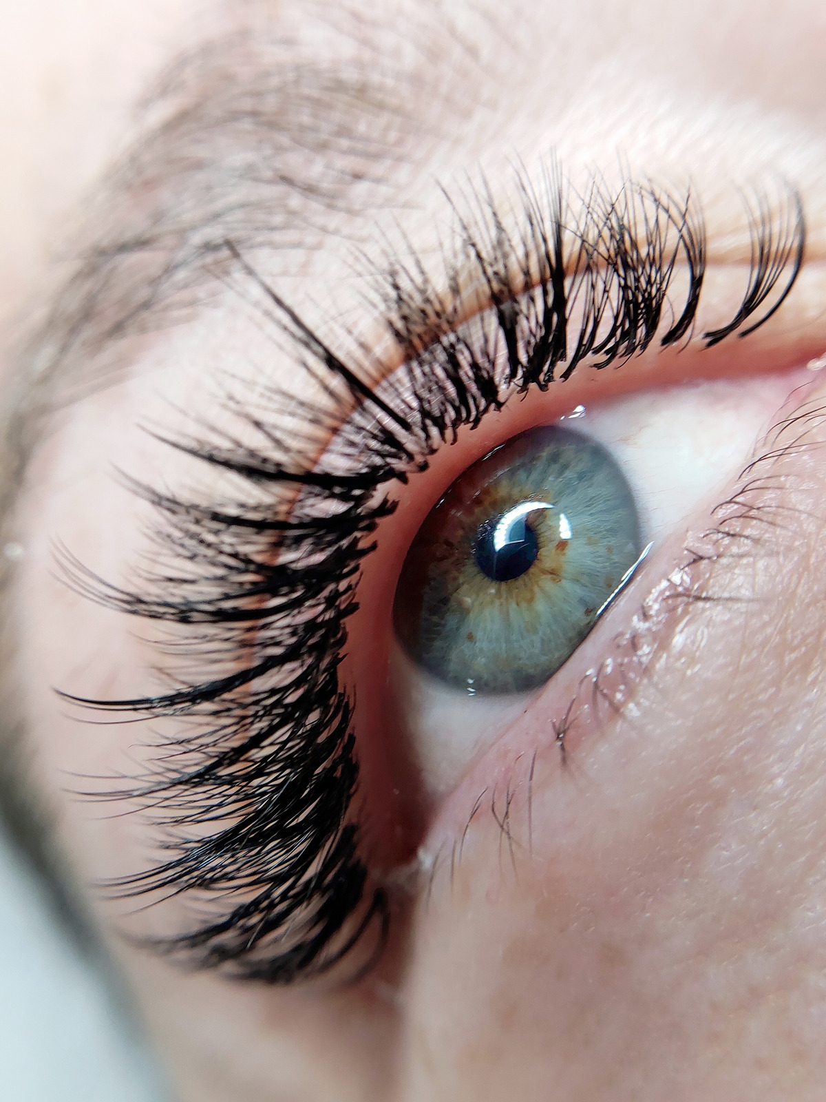 Lash extensions close-up on blue-green eyes